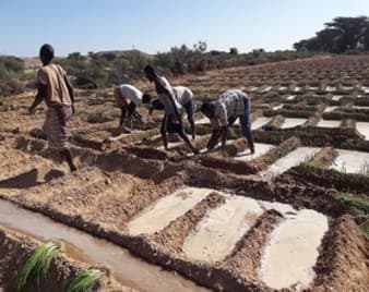 men-working-in-farm